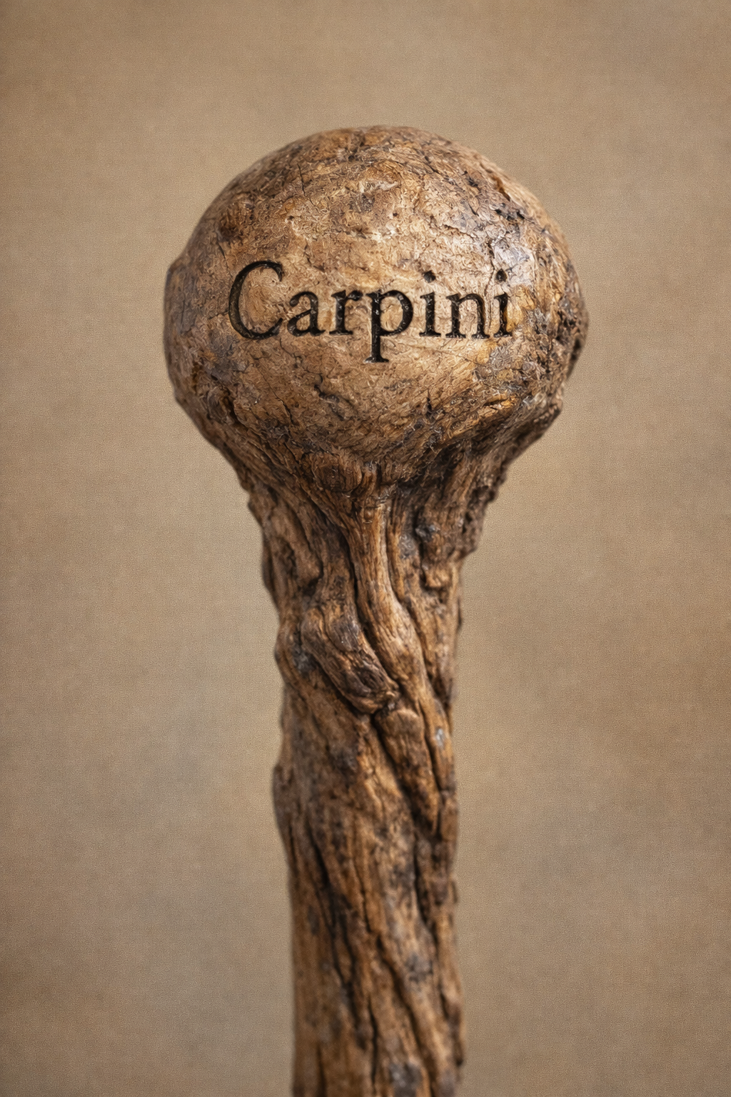 Carpini